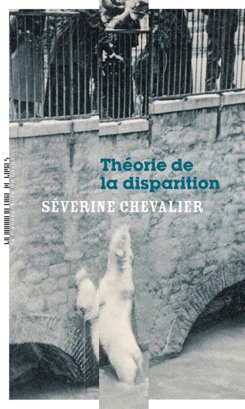 																Séverine Chevalier, Disappearance Theory