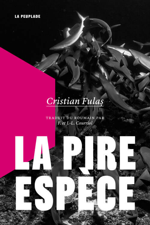 																Cristian Fulaș, La pire espèce