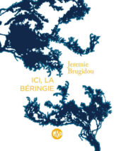 									Jérémie Brugidou, Beringia