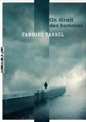 																Fabrice Tassel, On dirait des hommes