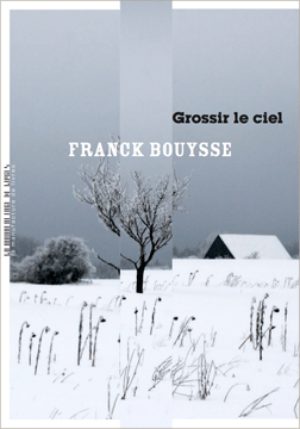 																Franck Bouysse, Grossir le ciel
